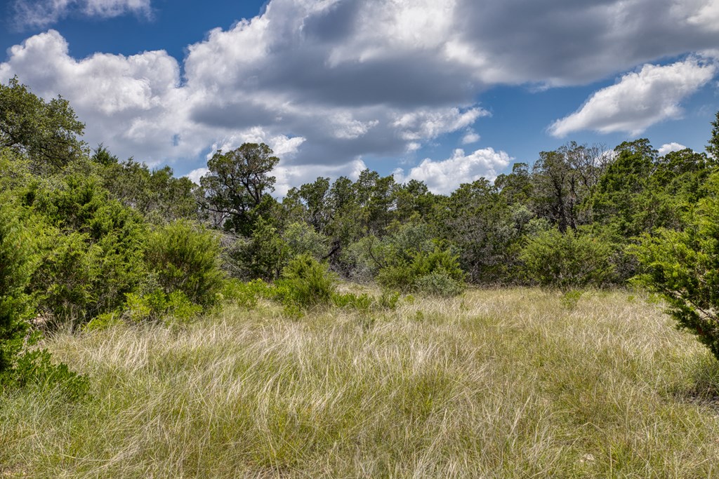 1702 Pinon Loop East Camp Wood, TX 78833 - Photo 11 of 19