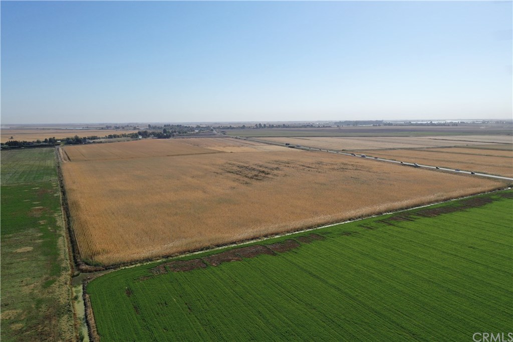 0 Terminous Road Isleton, CA 95641 - Photo 4 of 6