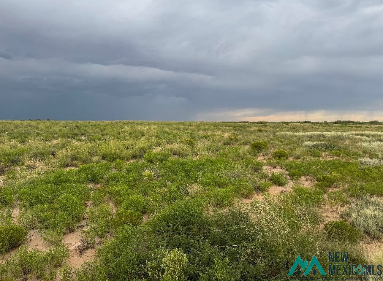 0 Dona Ana Road Roswell, NM 88201 - Photo 3 of 16 Gallery Image 3
