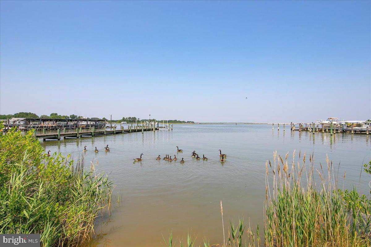 8870 Deal Island Road, Unit 9 Deal Island, MD 21821 - Photo 31 of 79 Gallery Image 31