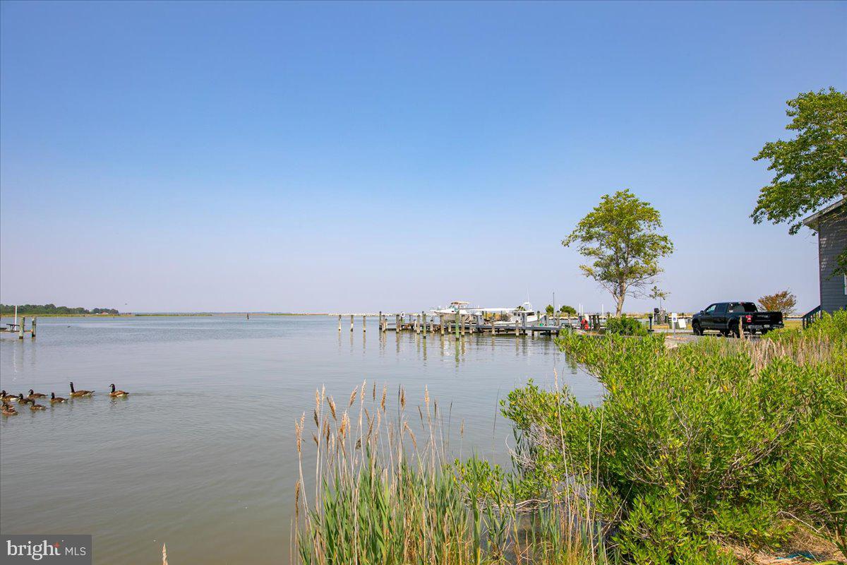 8870 Deal Island Road, Unit 9 Deal Island, MD 21821 - Photo 32 of 79 Gallery Image 32