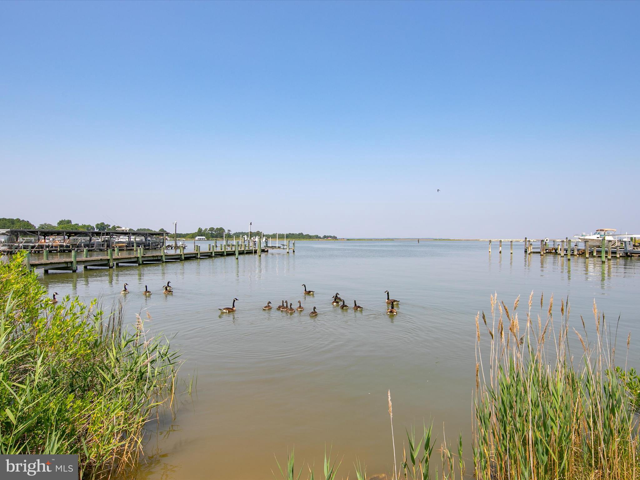 8870 Deal Island Road, Unit 9 Deal Island, MD 21821 - Photo 68 of 79 Gallery Image 68