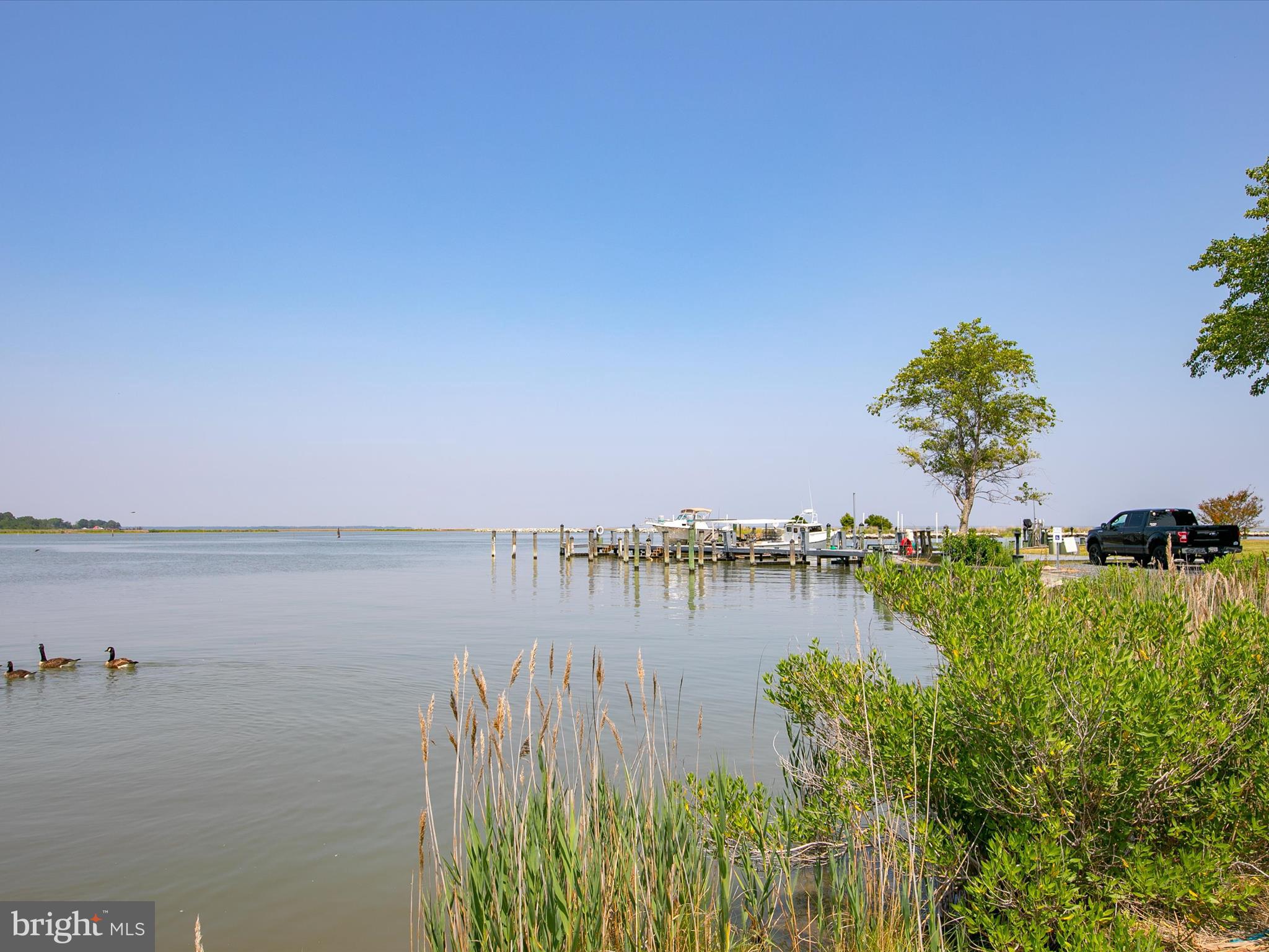 8870 Deal Island Road, Unit 9 Deal Island, MD 21821 - Photo 69 of 79 Gallery Image 69