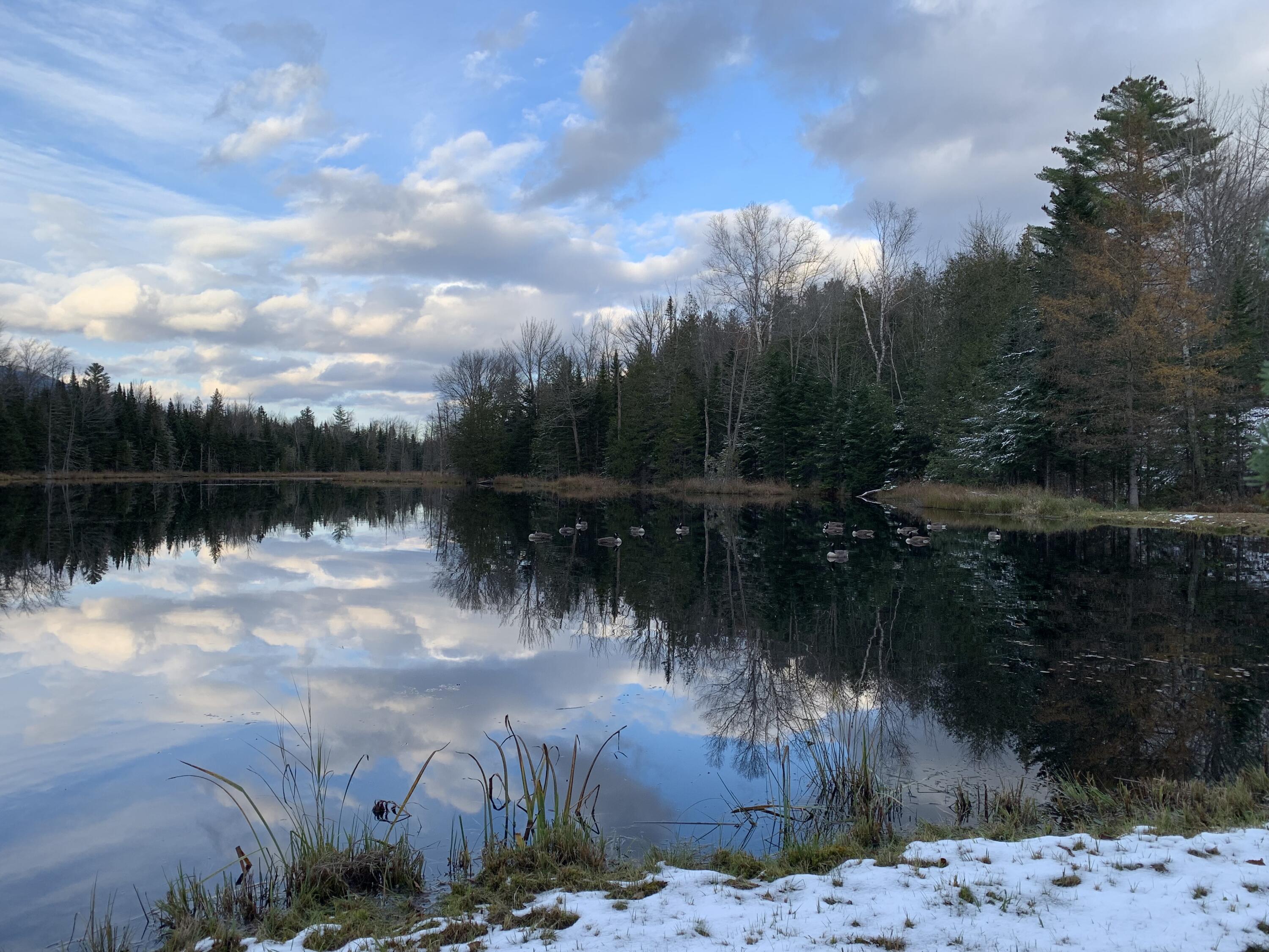 574 Salem Road Phillips, ME 04966 - Photo 11 of 24 pond