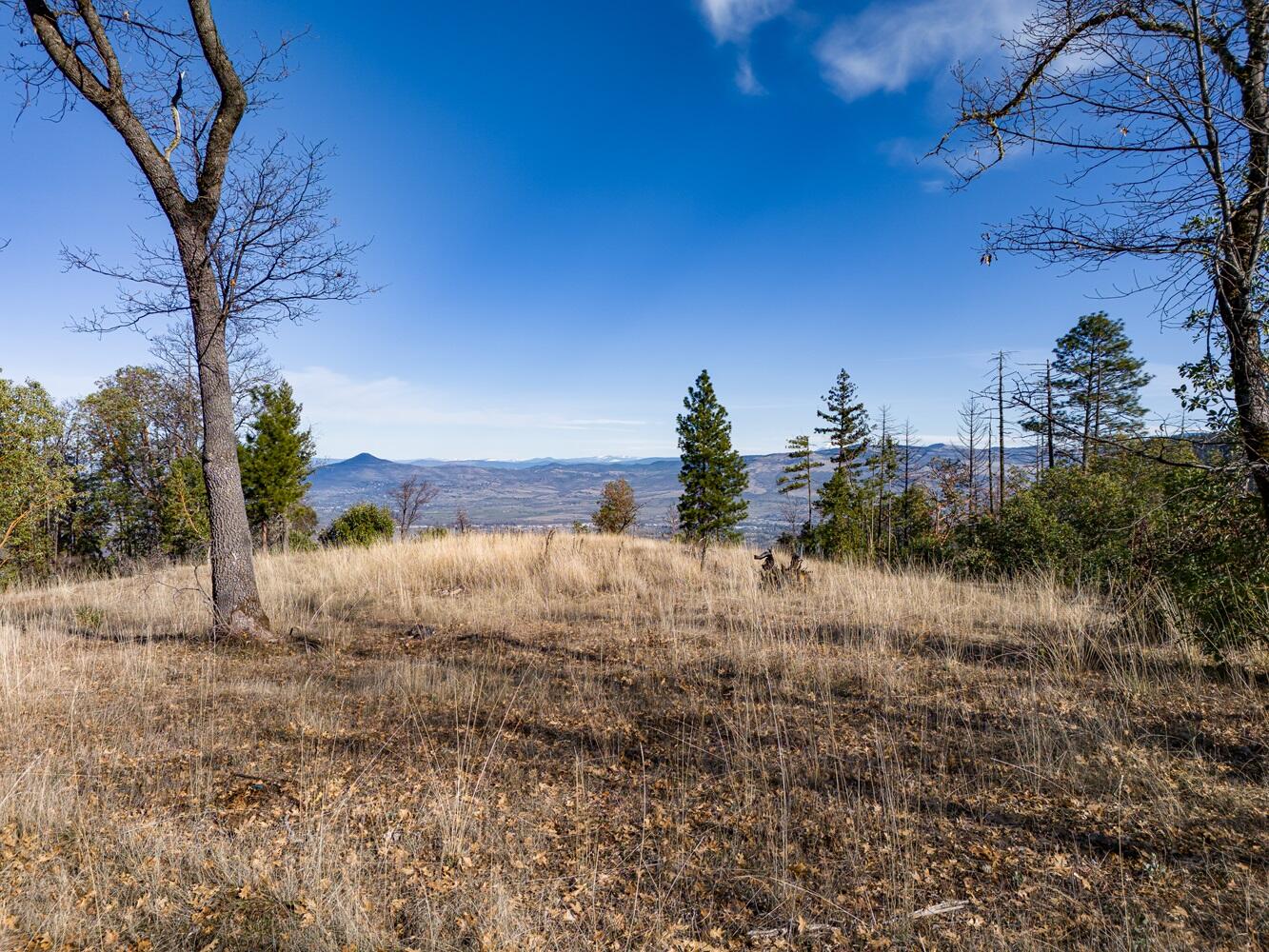 Griffin Creek Road Medford, OR 97501 - Photo 16 of 18 DJI_20250121124140_0059_DHDR25