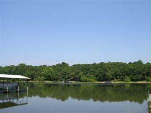 91 Rays Road Lavonia, GA 30553 - Photo 4 of 8