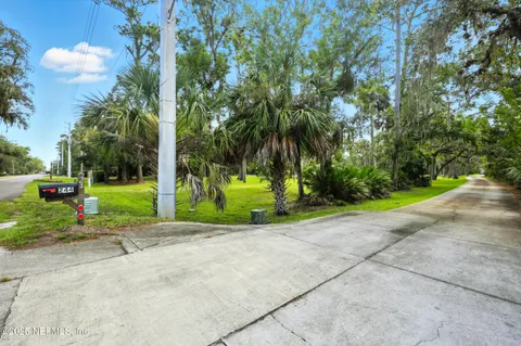 a view of a park with plants and trees