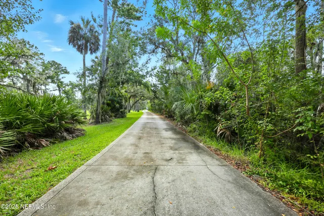 a view of a garden with plants