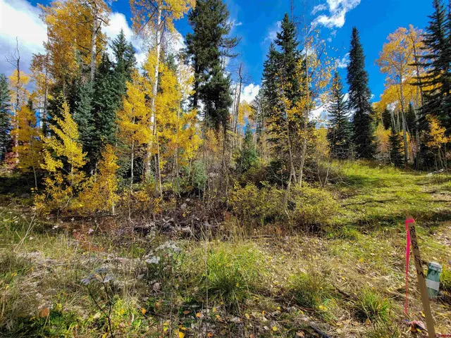 a view of a yard with a tree