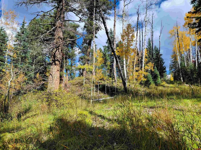 a view of swimming pool with a yard