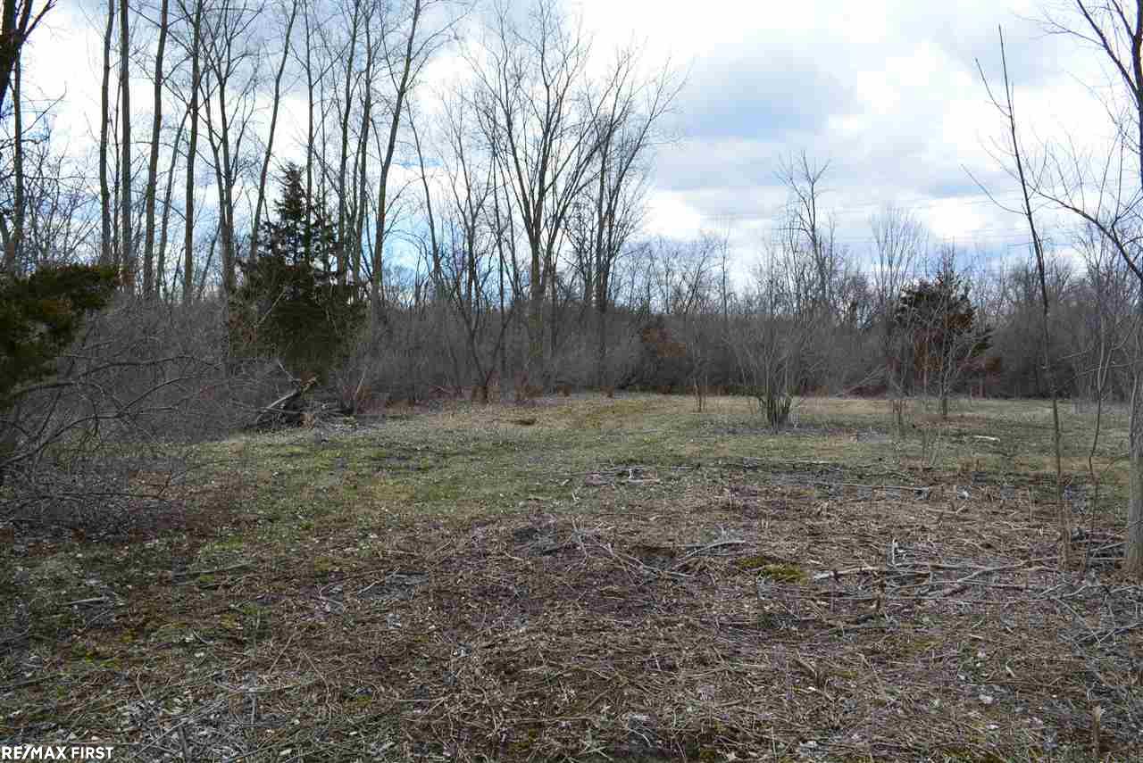 0 Jewell Road Utica, MI 48315 - Photo 1 of 7