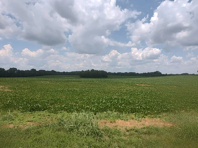 a view of a city with an ocean