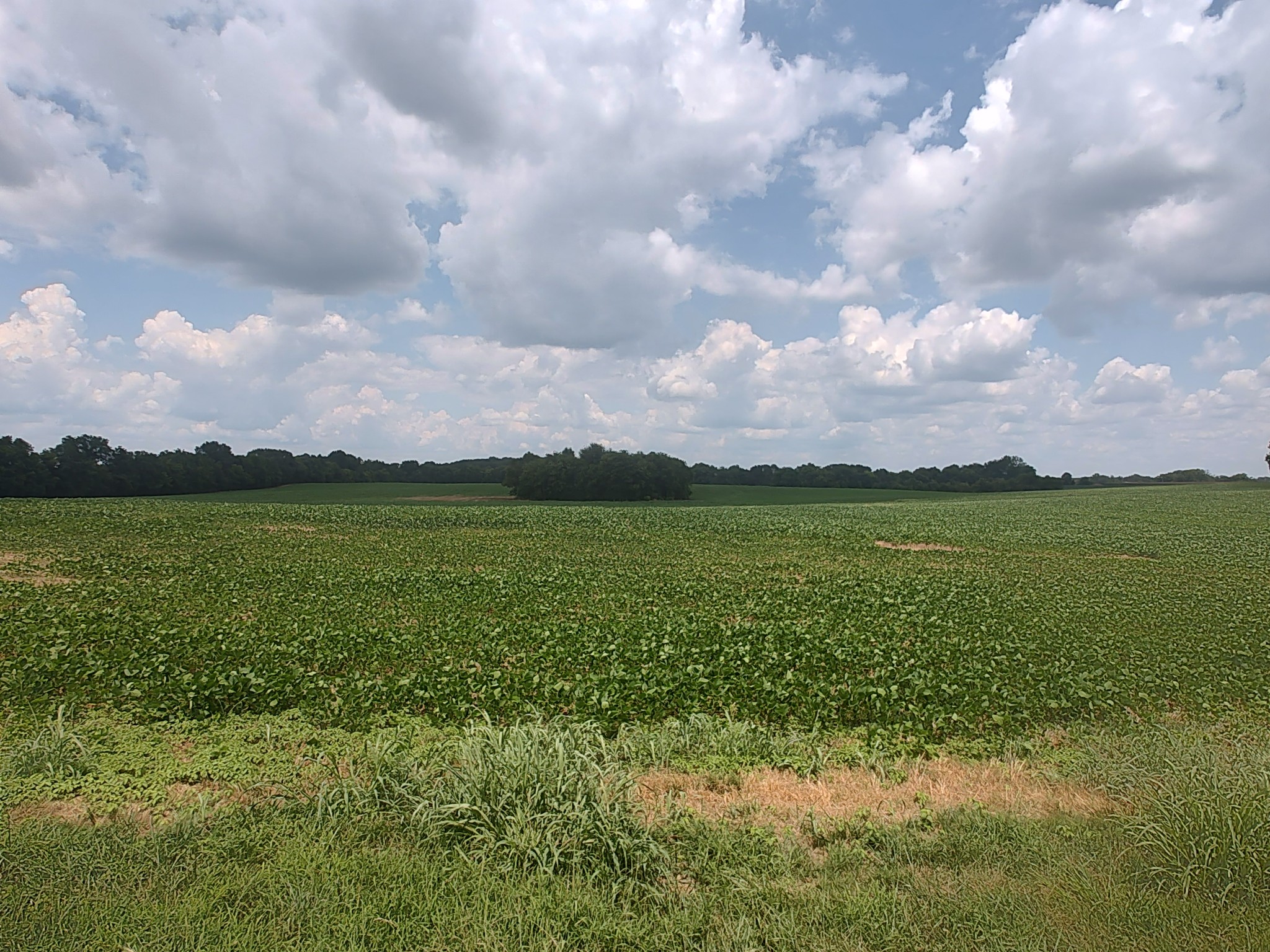 1 Benton Road Cedar Hill, TN 37032 - Photo 1 of 2 a view of a city with an ocean