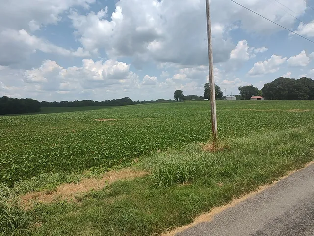 a view of a garden with a lake view