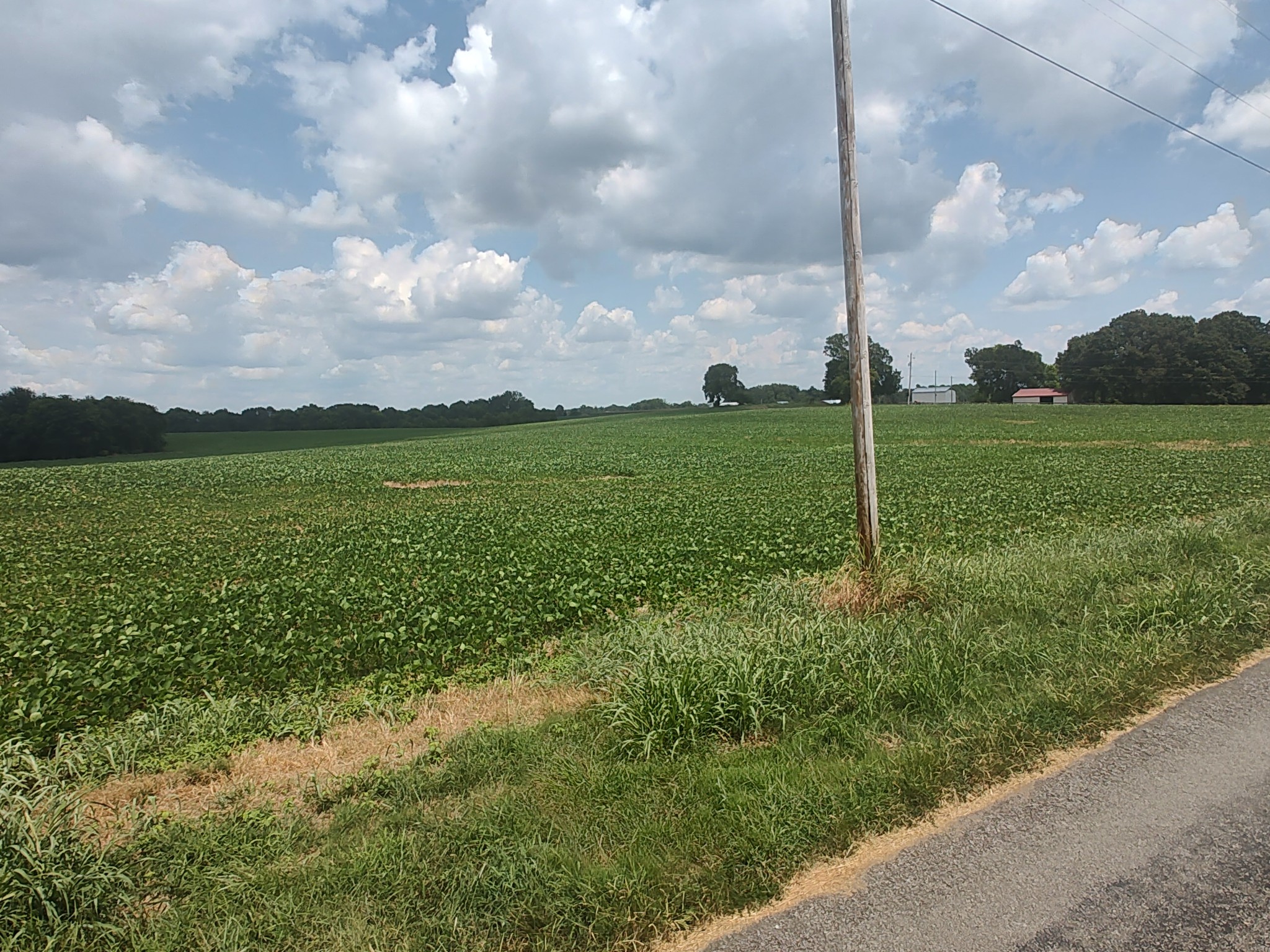 1 Benton Road Cedar Hill, TN 37032 - Photo 2 of 2 a view of a garden with a lake view