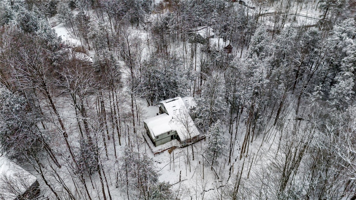 76 Tarn Trail Concord, NY 14069 - Photo 3 of 41