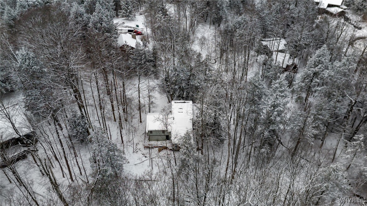 76 Tarn Trail Concord, NY 14069 - Photo 35 of 41