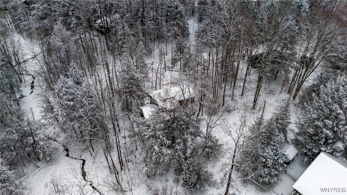 76 Tarn Trail Concord, NY 14069 - Photo 38 of 41