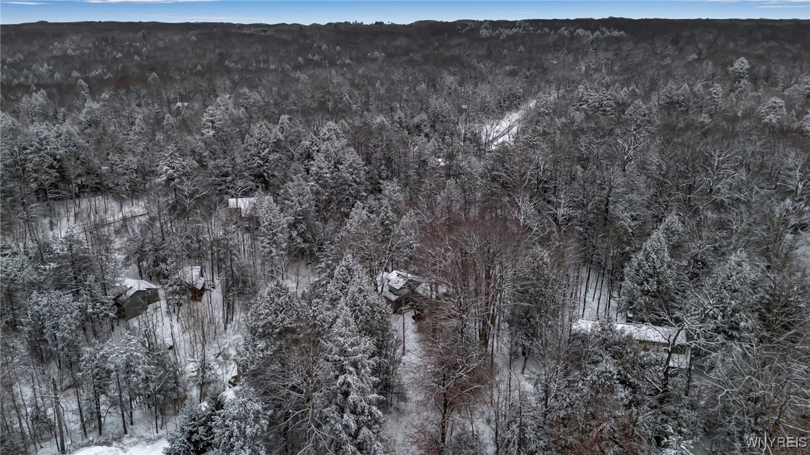 76 Tarn Trail Concord, NY 14069 - Photo 39 of 41