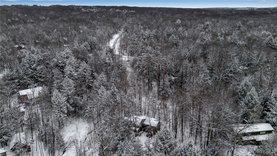 76 Tarn Trail Concord, NY 14069 - Photo 40 of 41