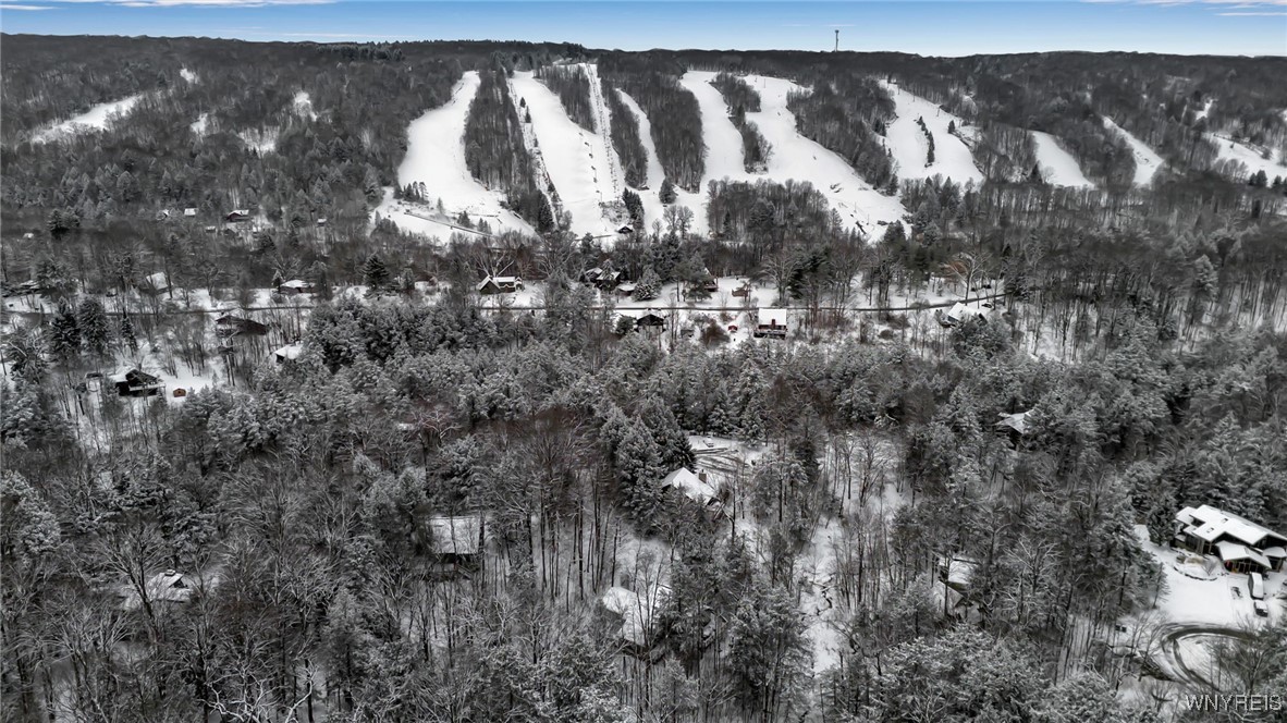 76 Tarn Trail Concord, NY 14069 - Photo 4 of 41