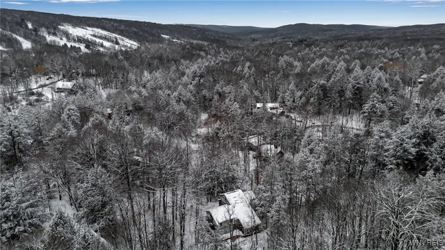 $224,900 | 76 Tarn Trail, Concord, NY 14069