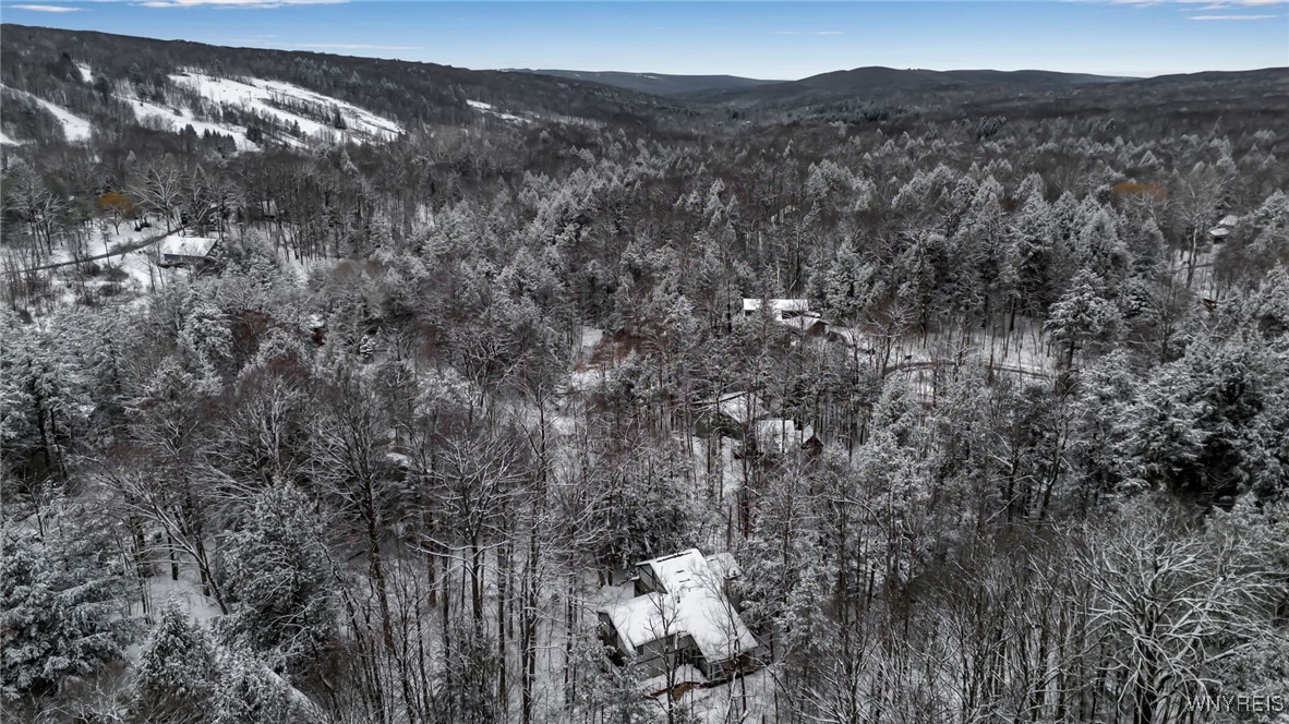 76 Tarn Trail Concord, NY 14069 - Photo 41 of 41