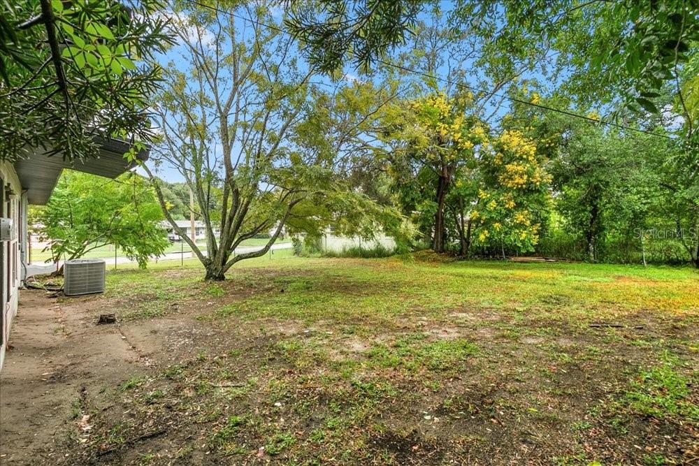 5804 Wolf Road Orlando, FL 32808 - Photo 8 of 24 a view of a yard with a trees