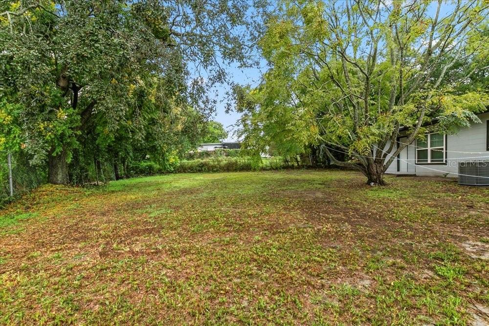 5804 Wolf Road Orlando, FL 32808 - Photo 9 of 24 a view of a yard with a tree