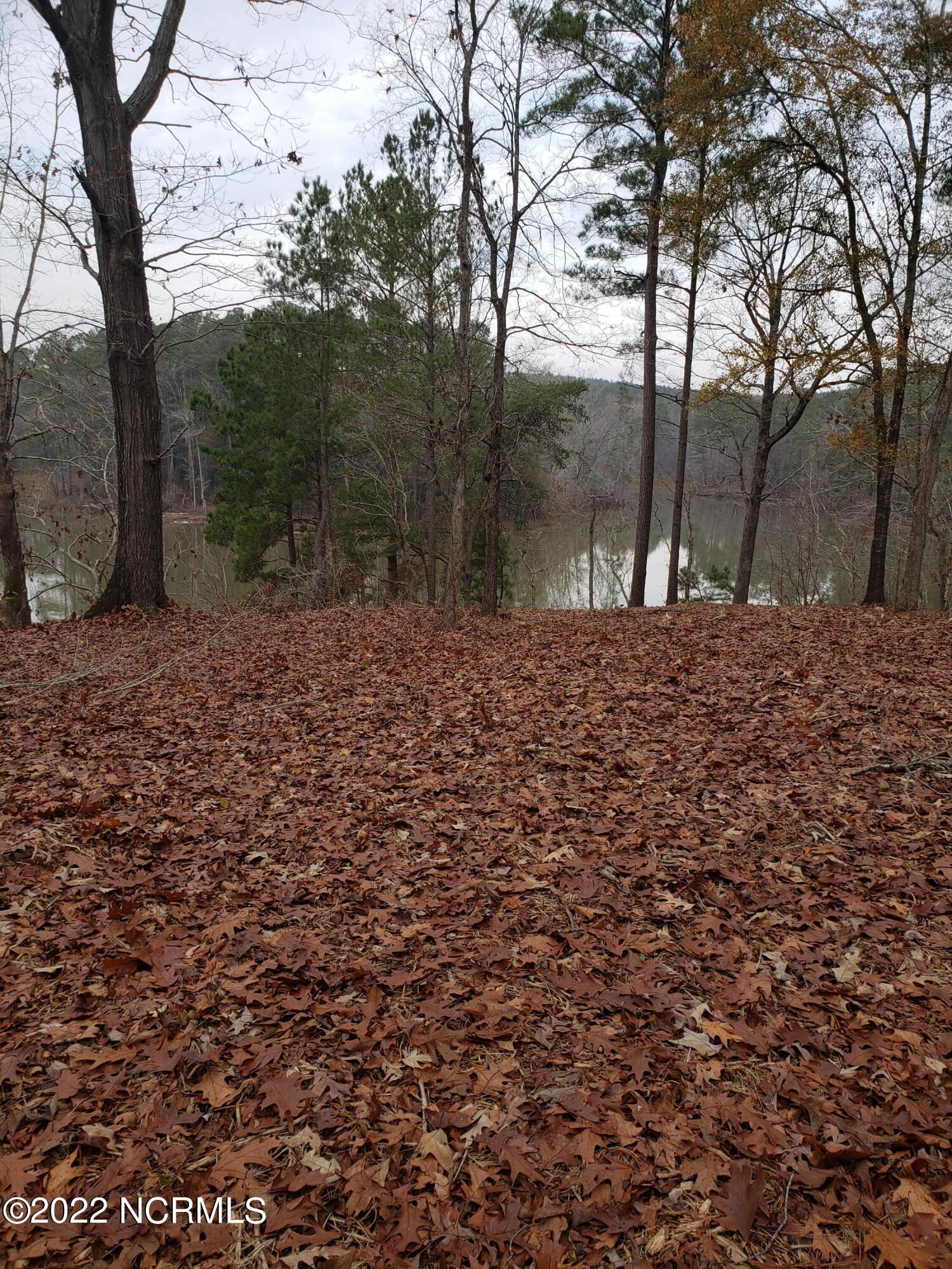 177 Vista Lane Rockingham, NC 28379 - Photo 8 of 17 vista8