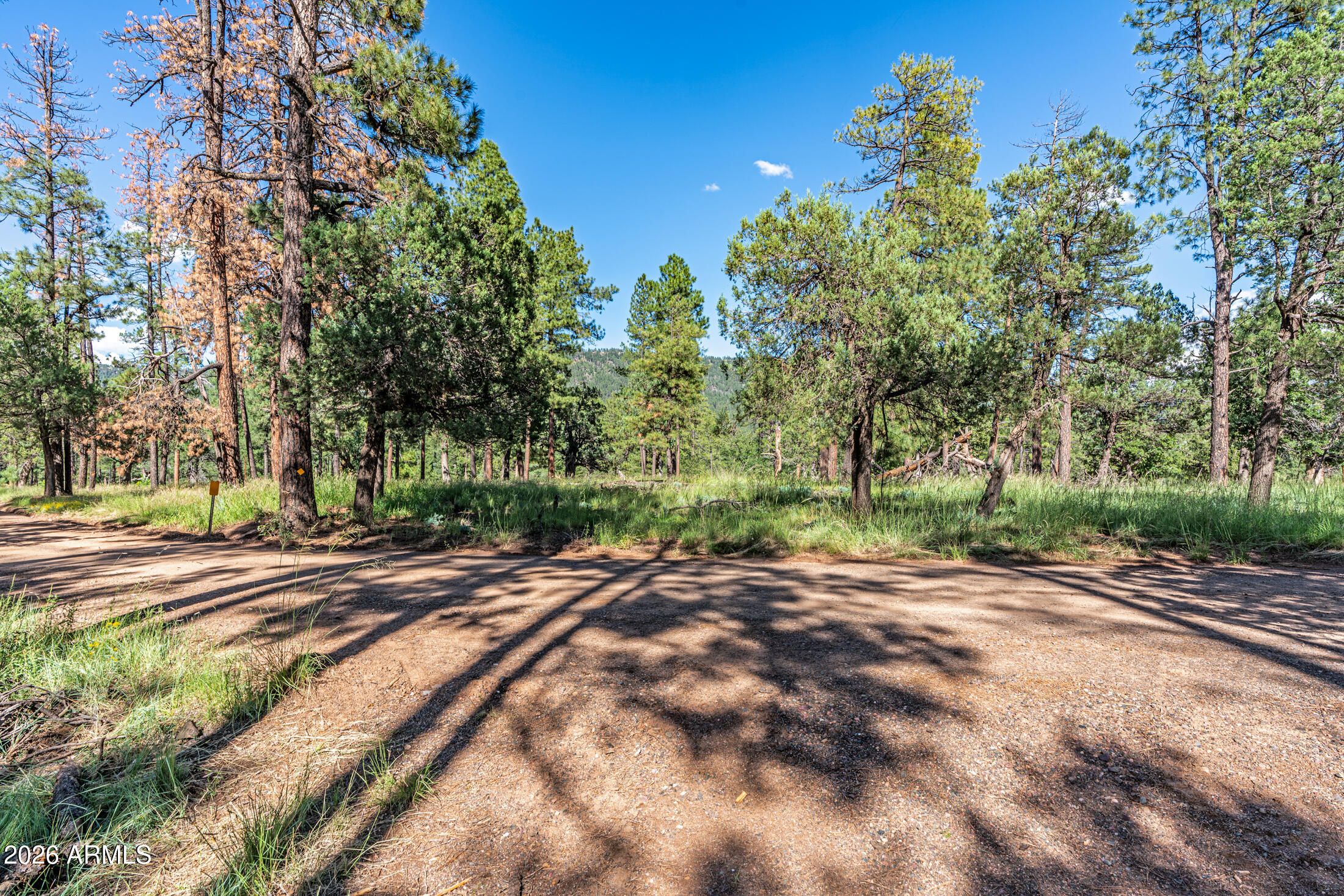 282 South Cienega Road Payson, AZ 85541 - Photo 23 of 28 _DSC1492-HDR-Edit