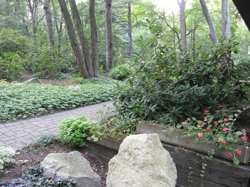27 Fox Run Road Bedford, MA 01730 - Photo 39 of 42 Gallery Image 39