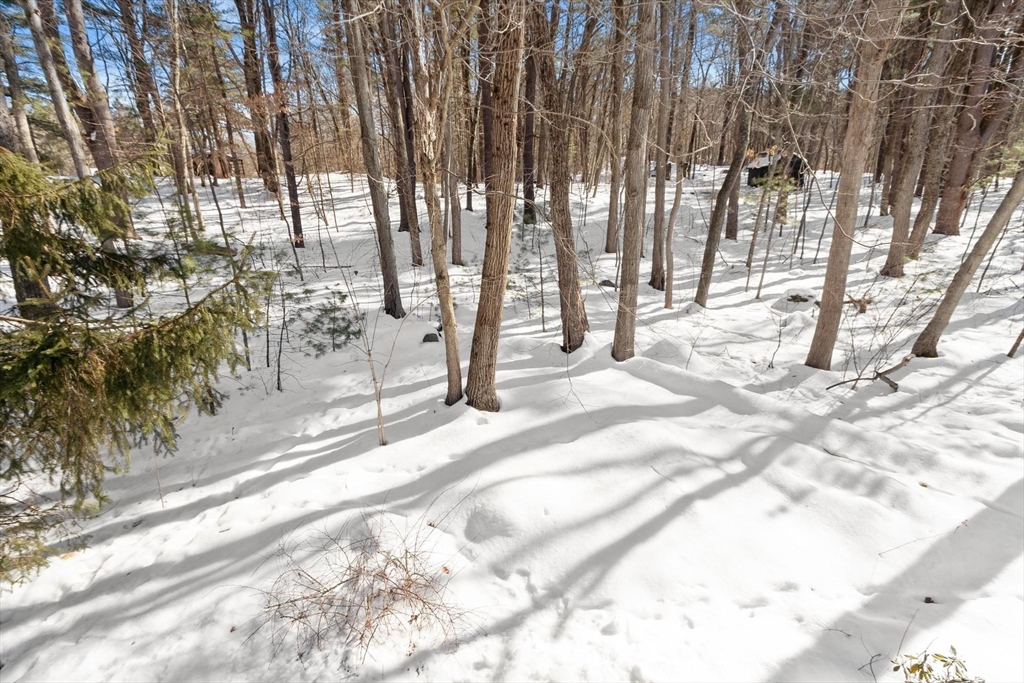 27 Fox Run Road Bedford, MA 01730 - Photo 40 of 42 Gallery Image 40