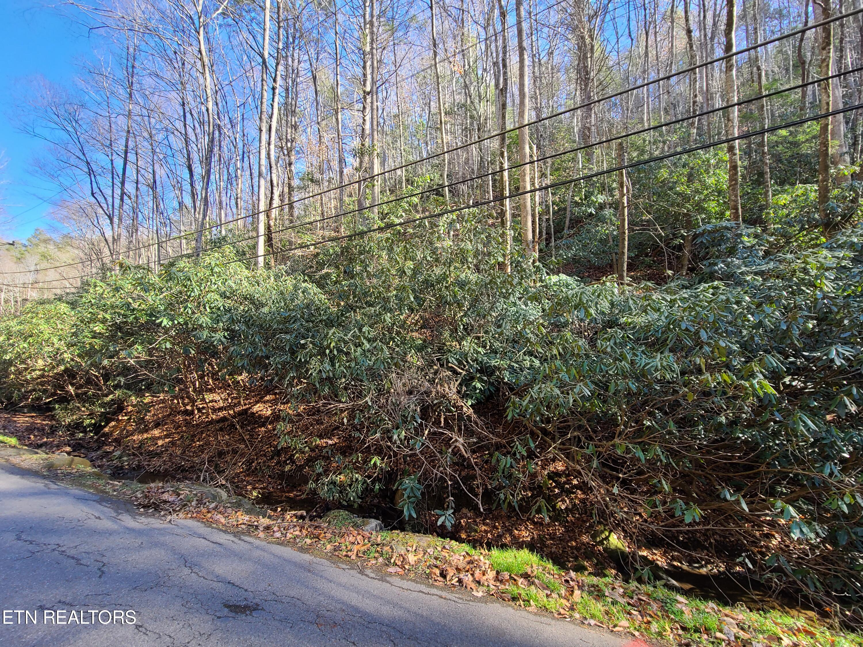 Lot 17 Butler Branch Road Gatlinburg, TN 37738 - Photo 1 of 11 20211214_131513