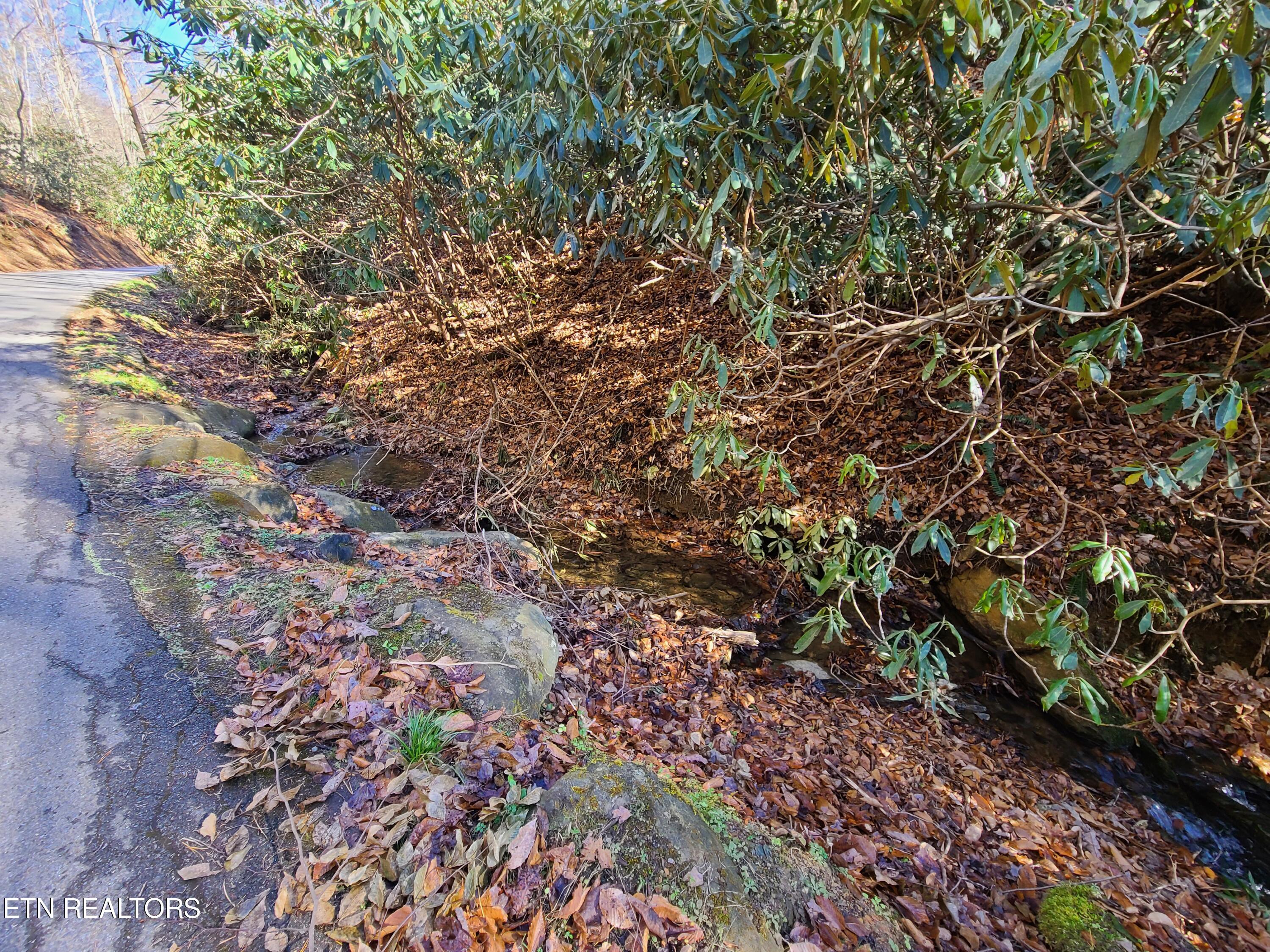 Lot 17 Butler Branch Road Gatlinburg, TN 37738 - Photo 2 of 11 20211214_131523