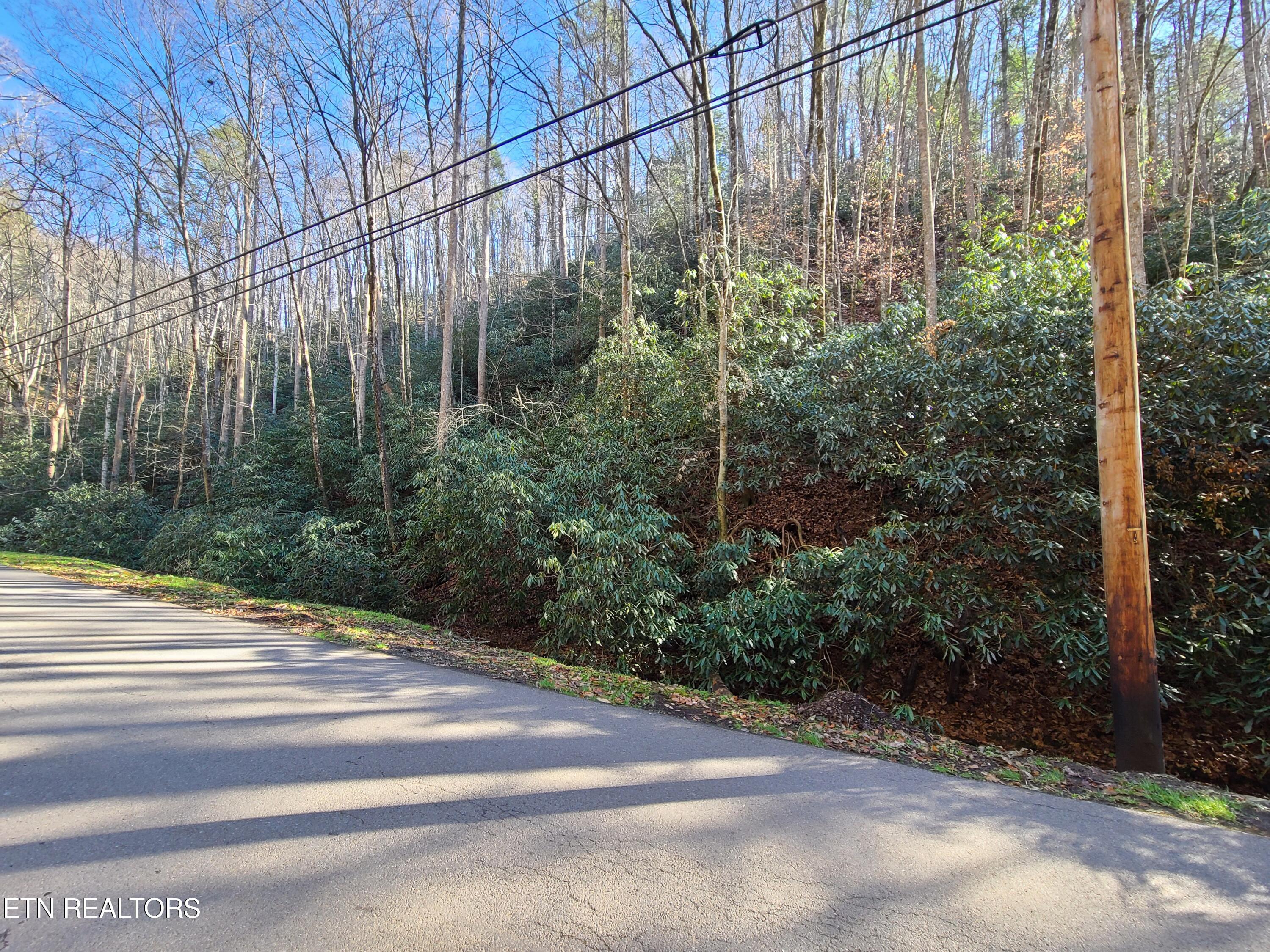 Lot 17 Butler Branch Road Gatlinburg, TN 37738 - Photo 3 of 11 20211214_125908