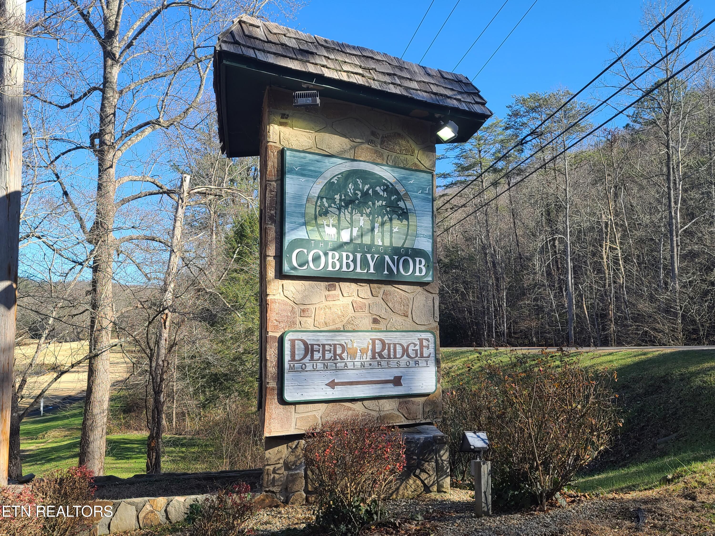 Lot 17 Butler Branch Road Gatlinburg, TN 37738 - Photo 4 of 11 20211214_133241