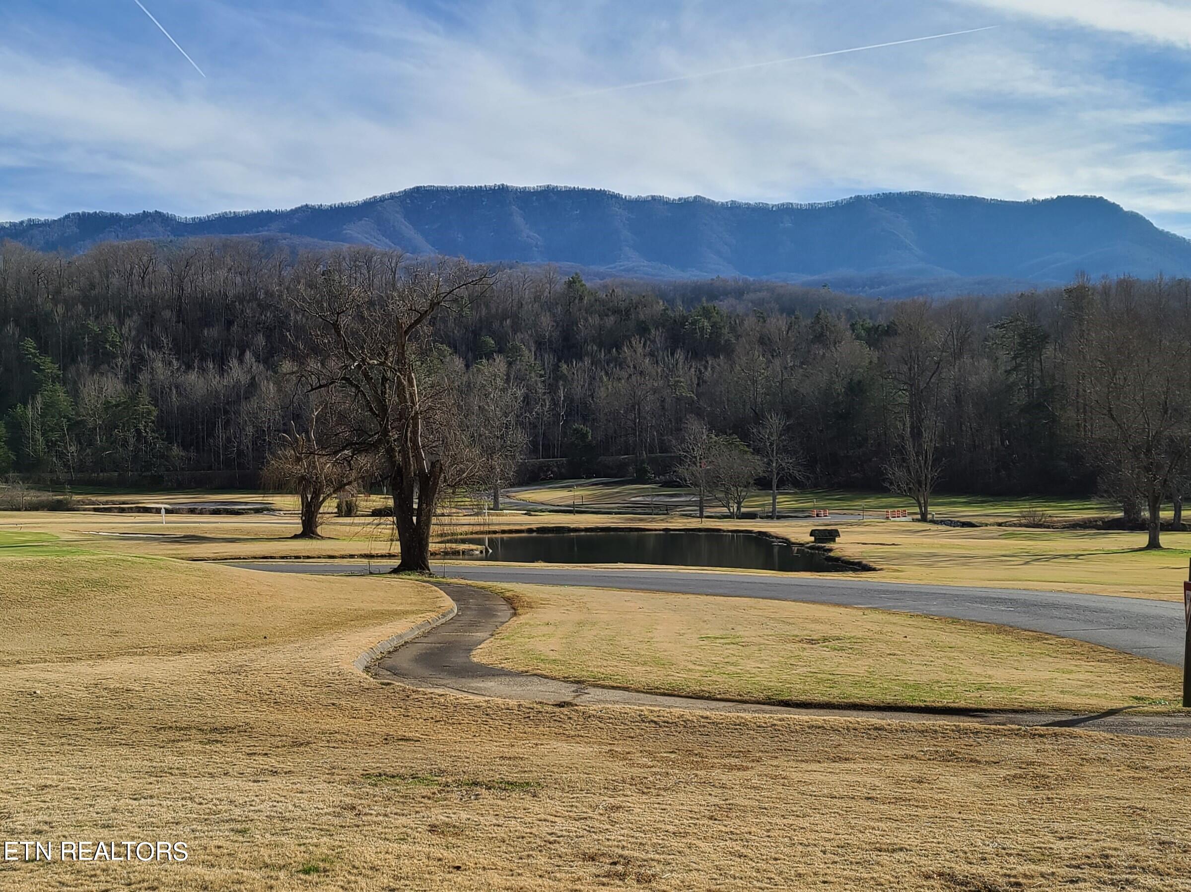 Lot 17 Butler Branch Road Gatlinburg, TN 37738 - Photo 6 of 11 20220112_151551 (2)