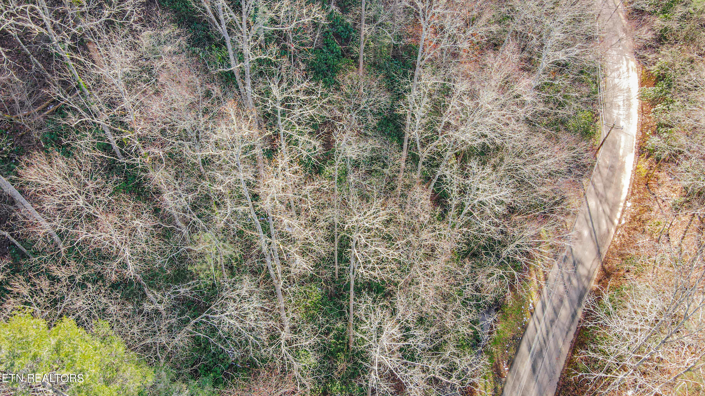 Lot 17 Butler Branch Road Gatlinburg, TN 37738 - Photo 8 of 11 DJI_0071