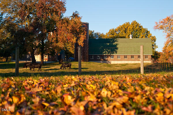 1047 Coldspring Circle Durham, NC 27705 - Photo 45 of 57 Croasdaile Farm