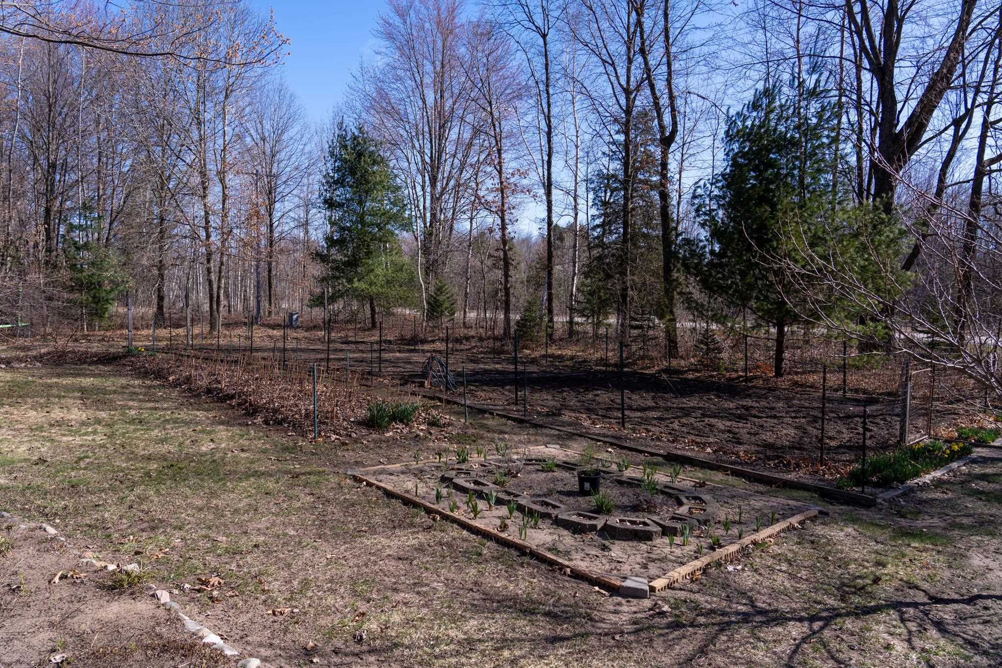 1014 South Coleman Road Shepherd, MI 48883 - Photo 7 of 46