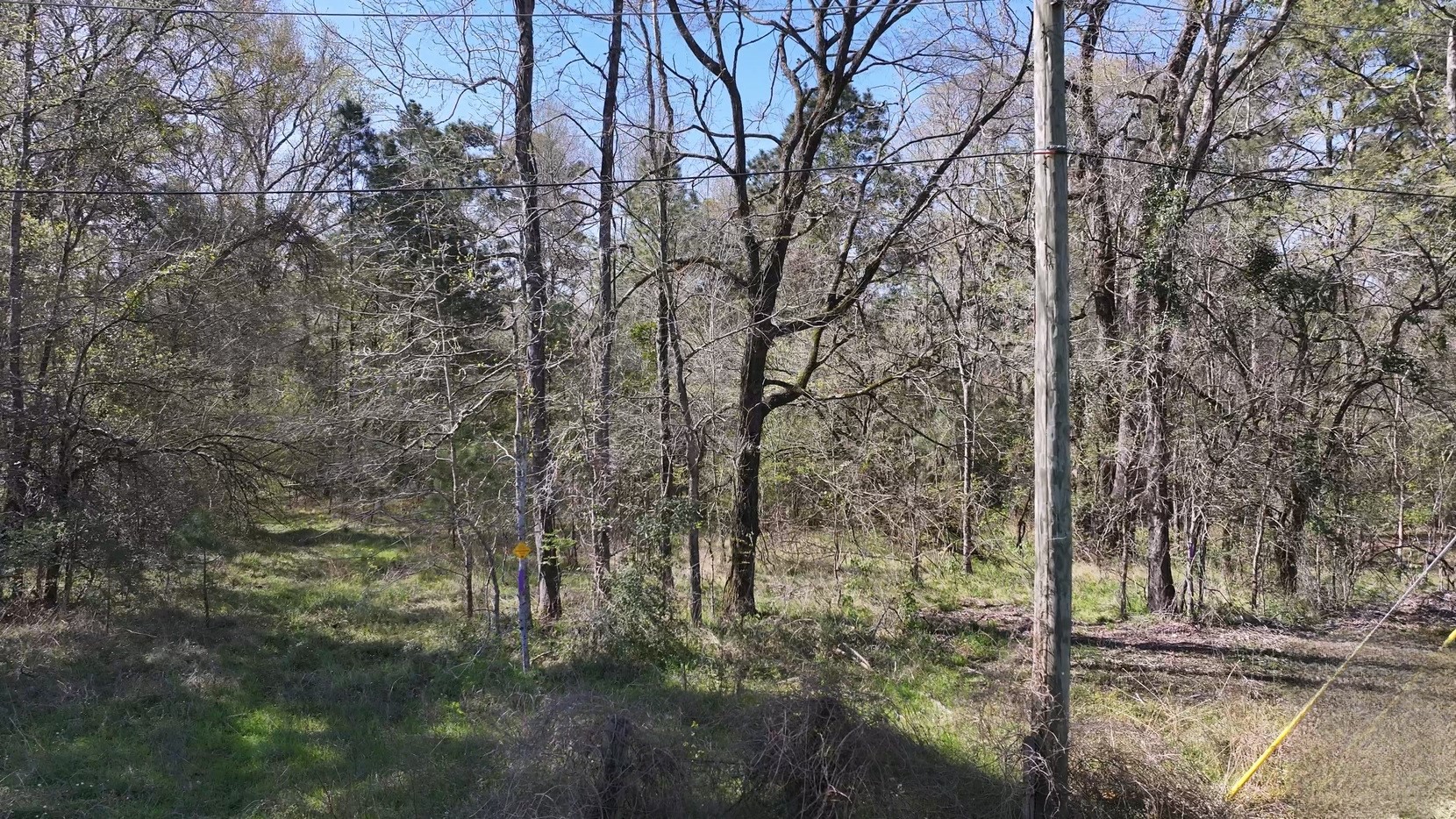 P#1-tbd P Point Blank, TX 77364 - Photo 8 of 11 a view of a yard with trees