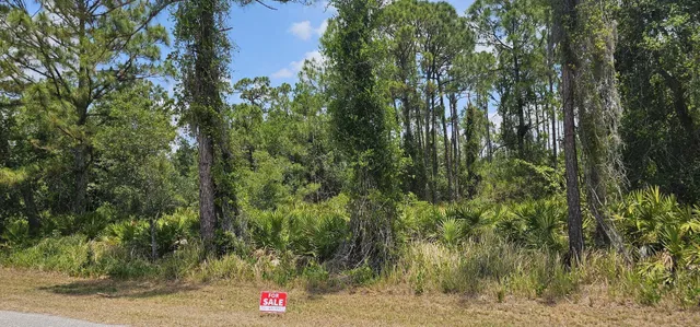a close up of a tree