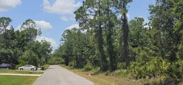 a view of a park with large trees