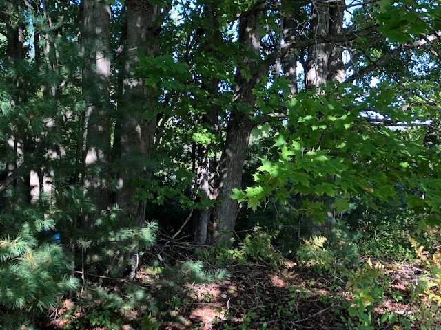 665 East 44 Road Cadillac, MI 49601 - Photo 15 of 20 1865165-14.JPG