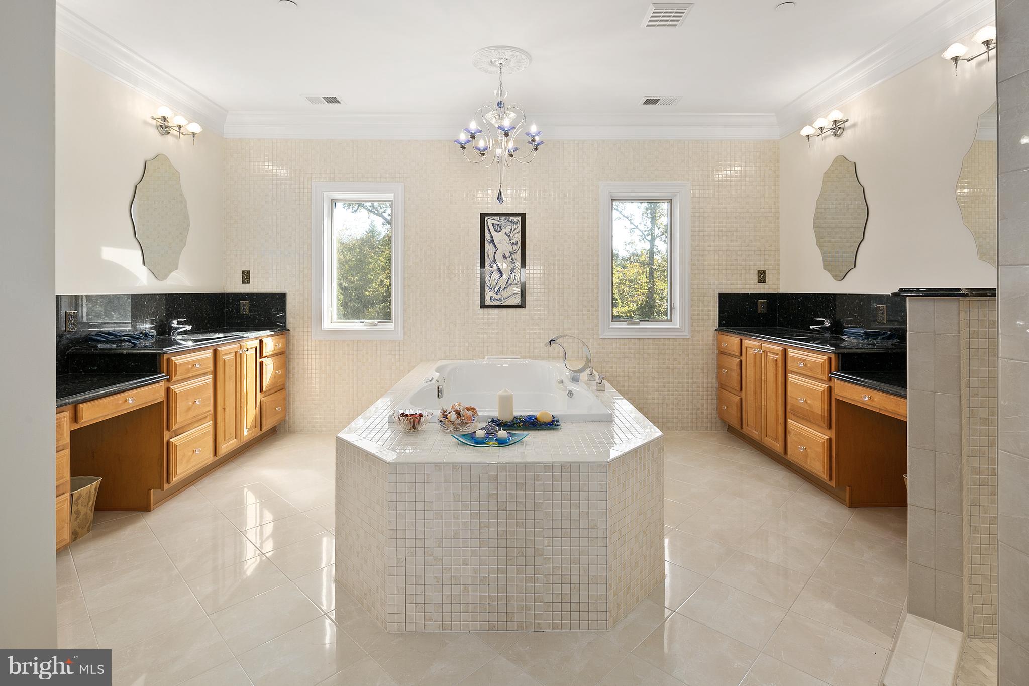 11206 Albermyrtle Road Potomac, MD 20854 - Photo 19 of 30 Bath (Master)