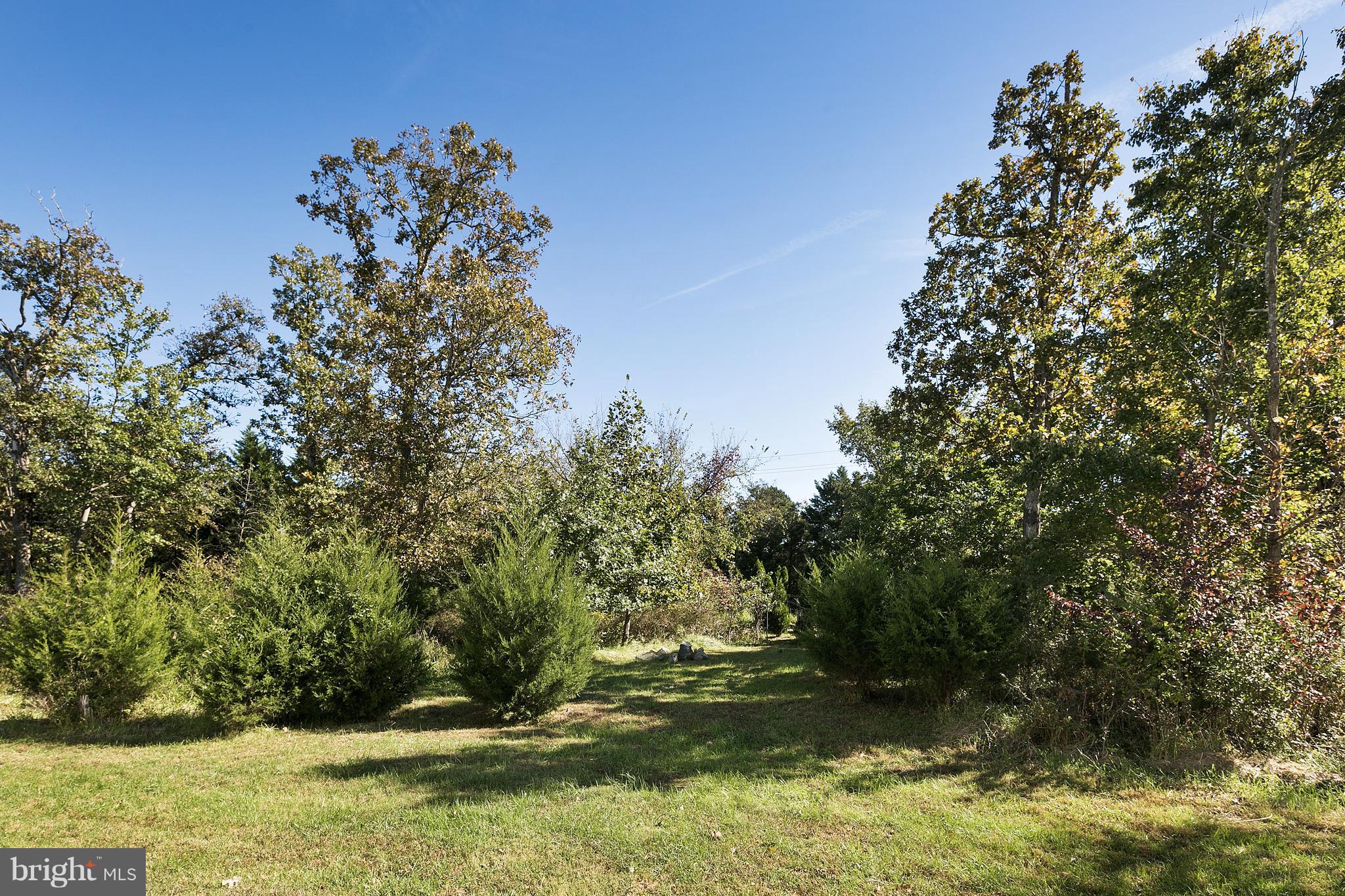 11206 Albermyrtle Road Potomac, MD 20854 - Photo 29 of 30 Wooded backyard