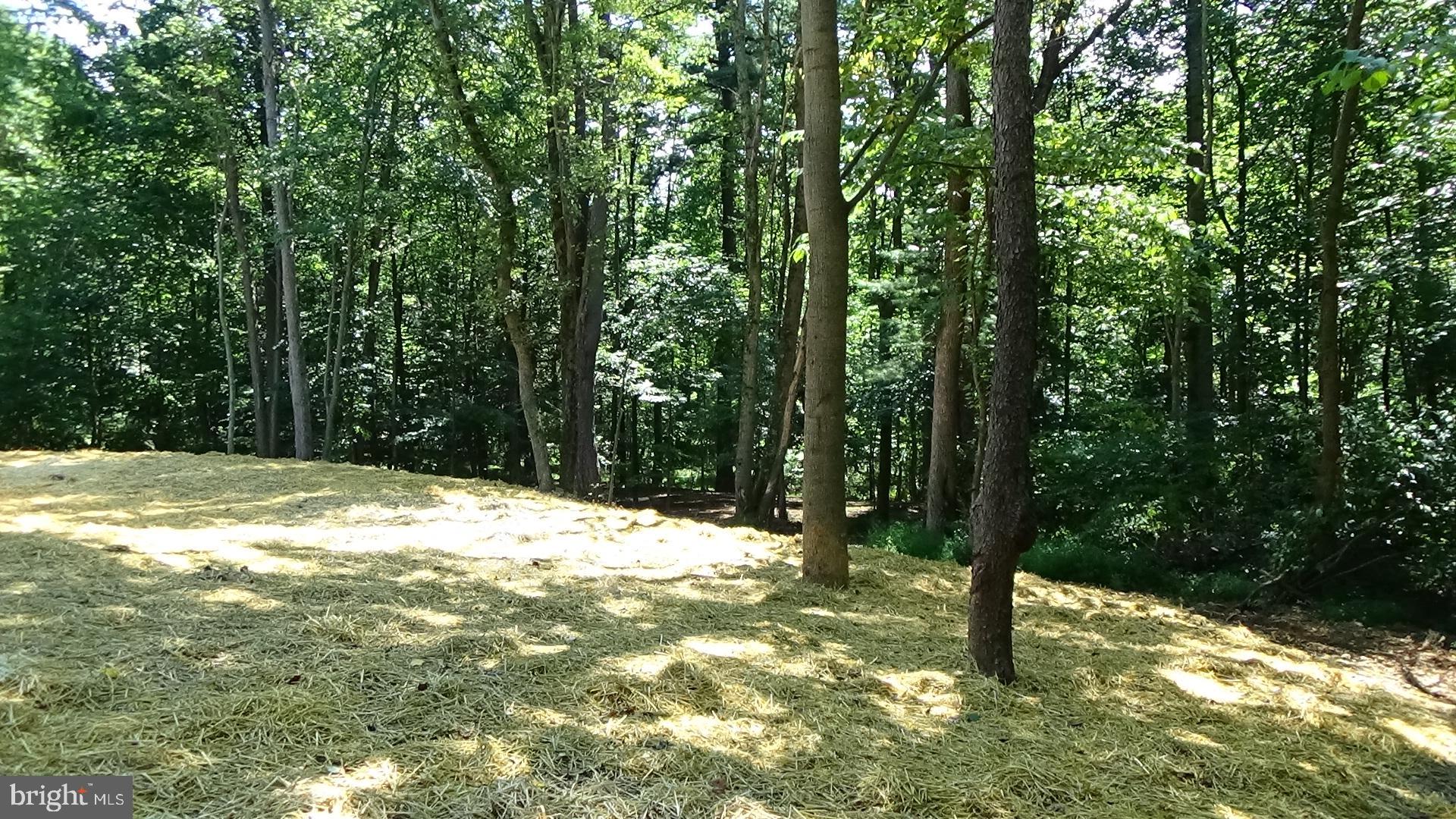 665 Sugar Run Road Millerstown, PA 17062 - Photo 20 of 31 Gallery Image 20