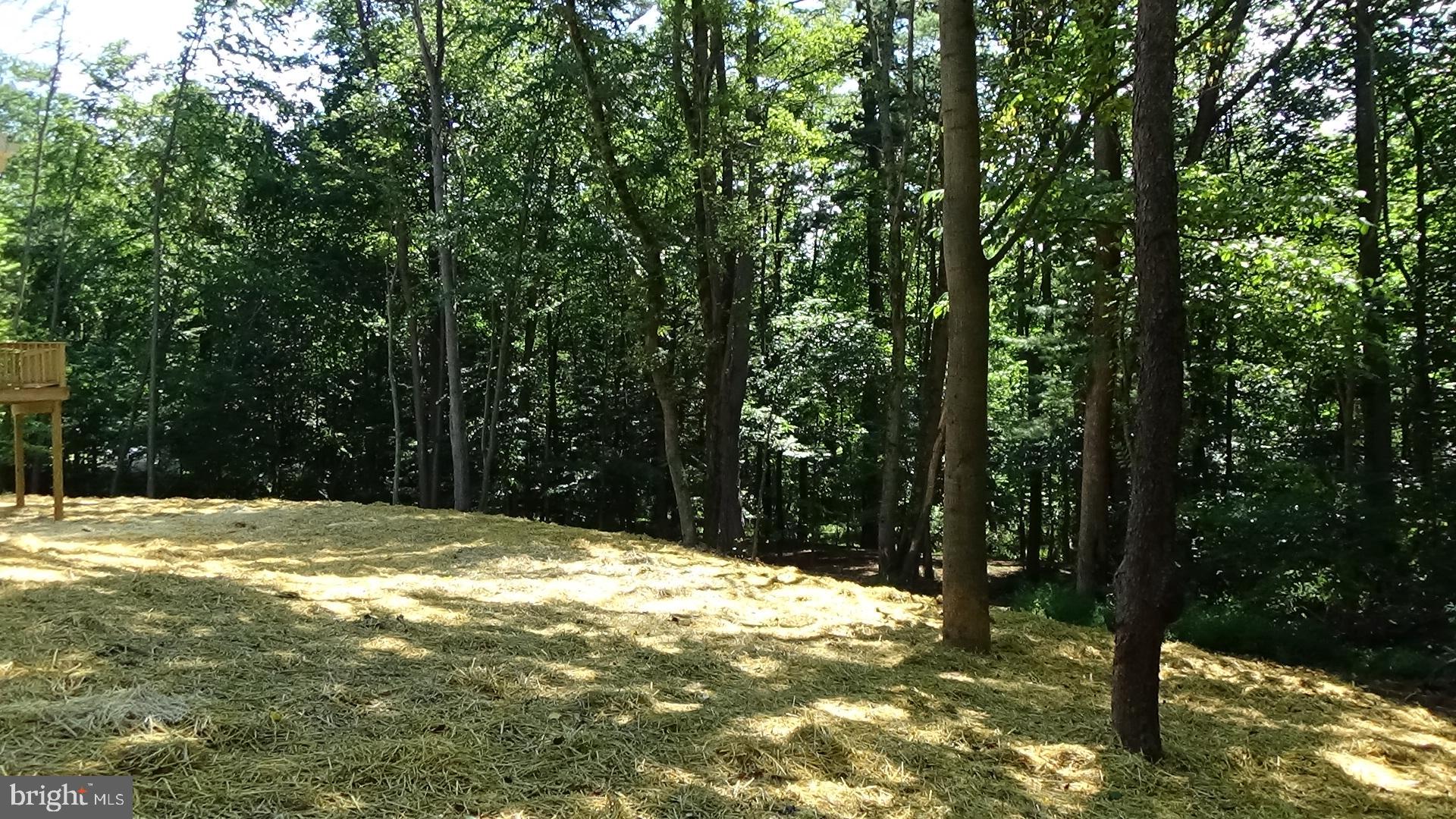 665 Sugar Run Road Millerstown, PA 17062 - Photo 21 of 31 Gallery Image 21