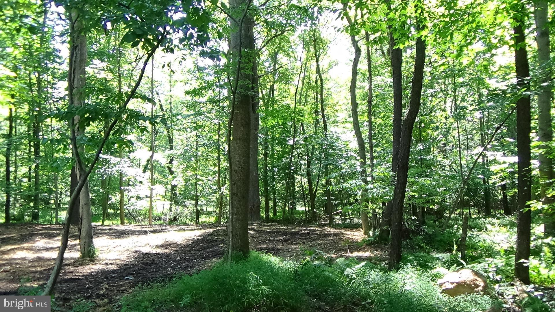 665 Sugar Run Road Millerstown, PA 17062 - Photo 23 of 31 Gallery Image 23